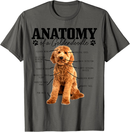 Anatomy Of A Goldendoodle Funny Cute Dog Doodle Mom Dad T-Shirt for Men Women Kids