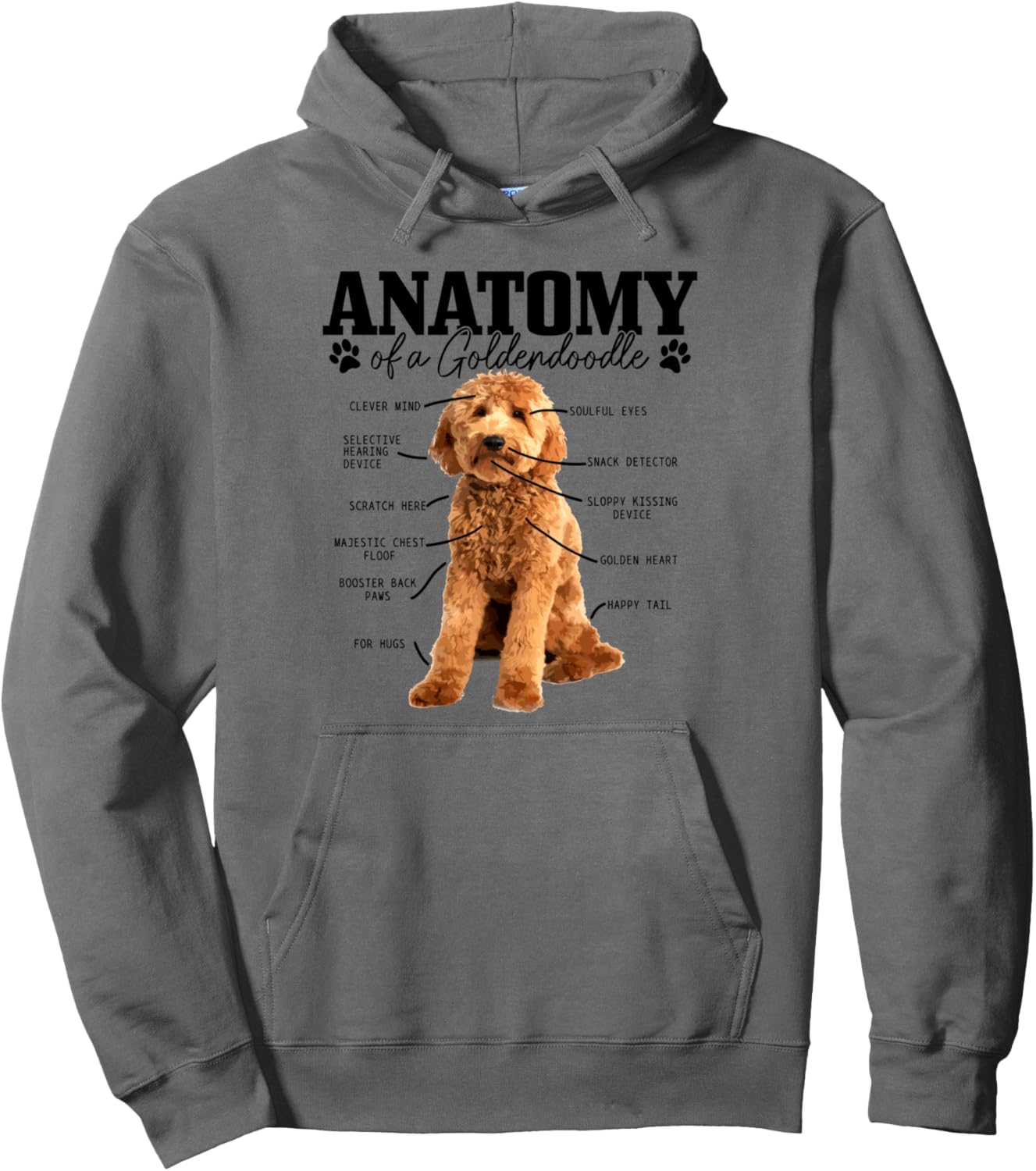 Anatomy Of A Goldendoodle Funny Cute Dog Doodle Mom Dad Pullover Hoodie