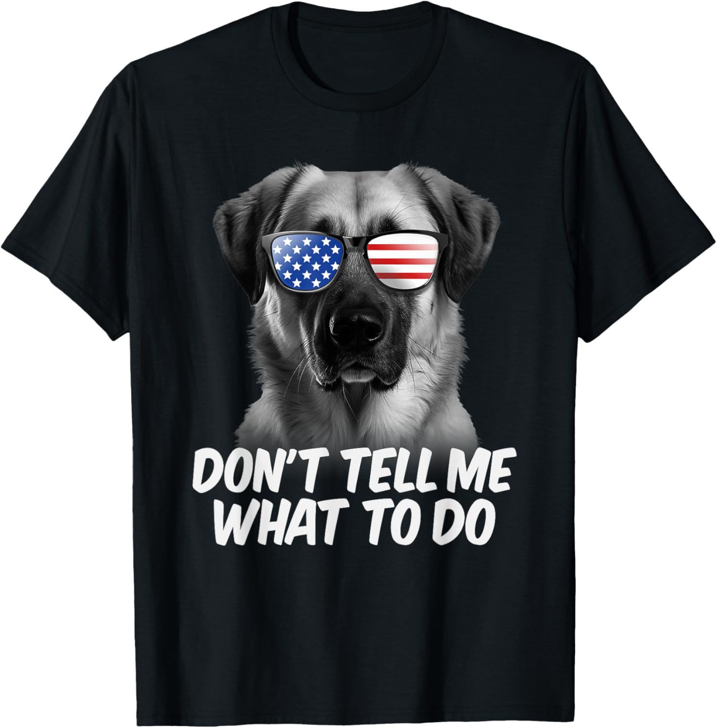 Anatolian Shepherd Lover Dog Owner Shepherd Dad T-Shirt for Men Women