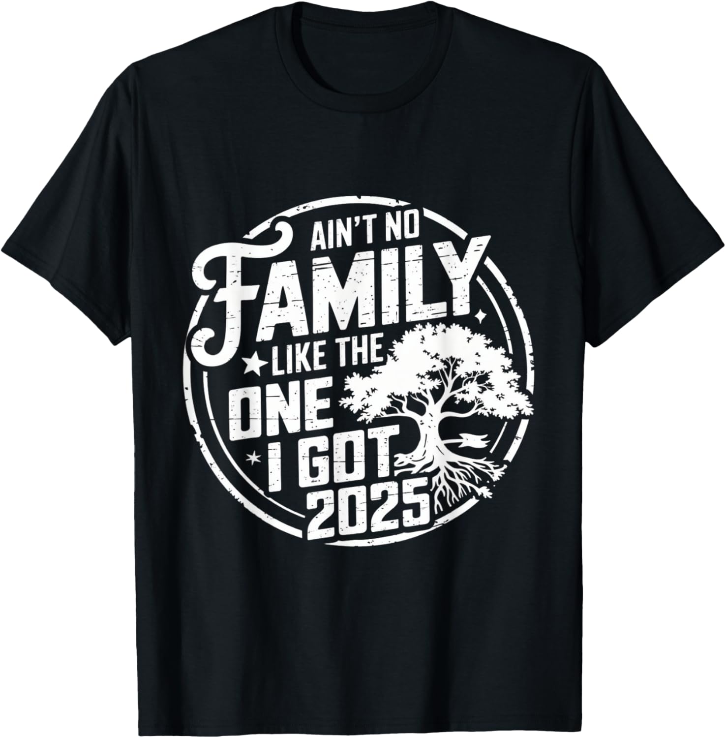 Ain't No Family Like The One I Got Reunion 2025 funny T-Shirt